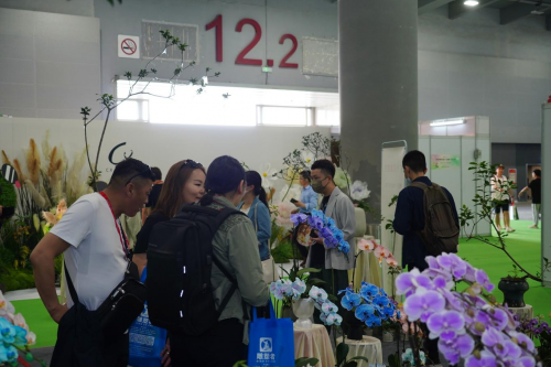 2024花城“新秀花事”亮點搶先看！和廣州國際花藝節(jié)一起解鎖“花經(jīng)濟”財富密碼(圖4)